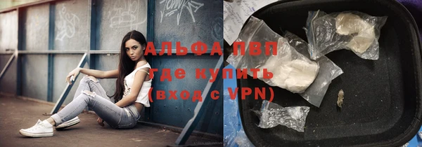 гидра Волоколамск