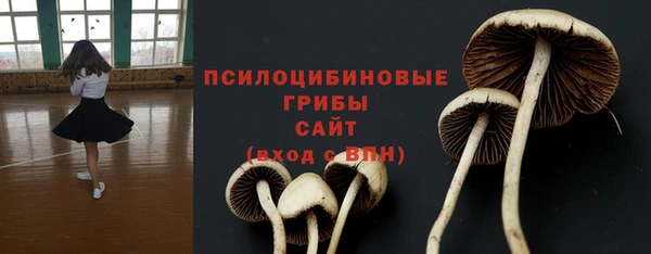 гидра Волоколамск