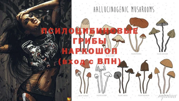 стафф Волосово