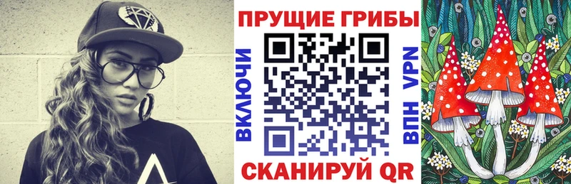 Галлюциногенные грибы Psilocybe  Купить закладки  Почеп 